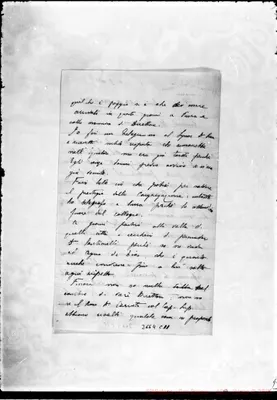 Fotogramma C 11