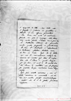 Fotogramma D 3