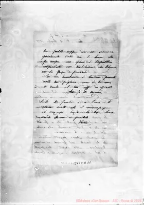 Fotogramma D 11