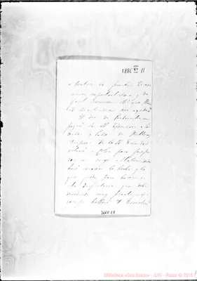 Fotogramma E 7