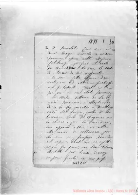 Fotogramma C 11