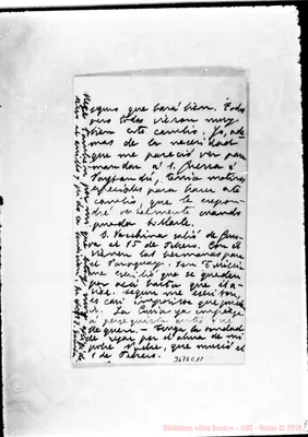 Fotogramma C 11