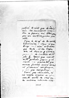 Fotogramma E 8