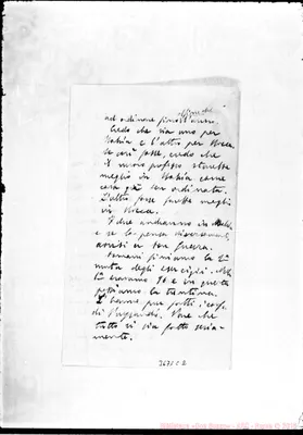 Fotogramma C 2