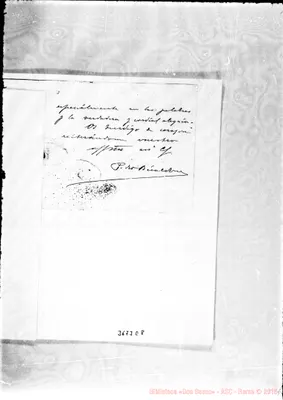 Fotogramma E 8