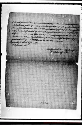 Fotogramma A 12