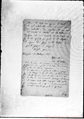 Fotogramma E 7