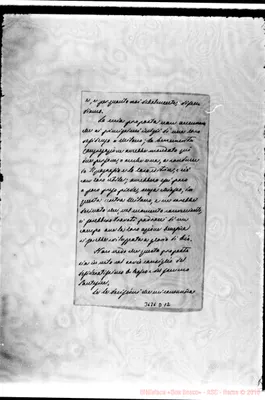 Fotogramma D 12