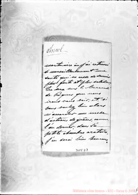 Fotogramma D 7