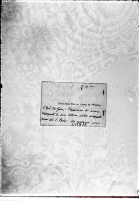 Fotogramma D 12