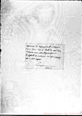 Fotogramma E 1