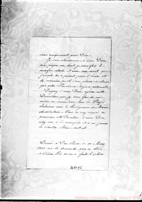 Fotogramma E 5