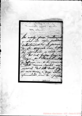 Fotogramma E 11