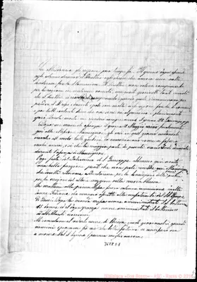 Fotogramma E 7