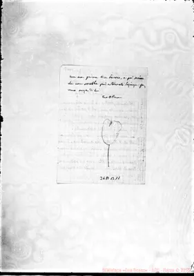 Fotogramma B 11