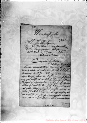 Fotogramma C 11