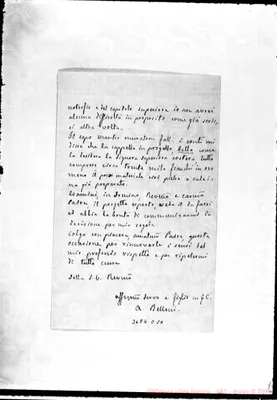 Fotogramma C 10