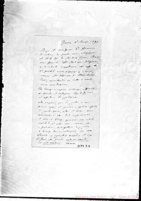 Fotogramma D 4