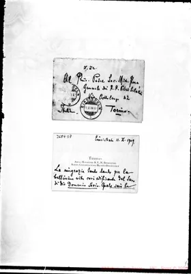 Fotogramma D 7