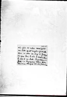 Fotogramma D 8