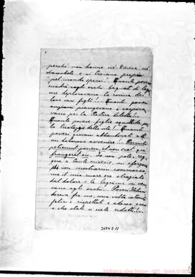 Fotogramma E 11