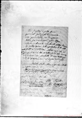 Fotogramma C 2