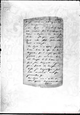 Fotogramma C 1