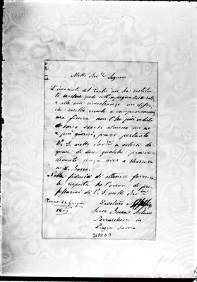 Fotogramma D 3
