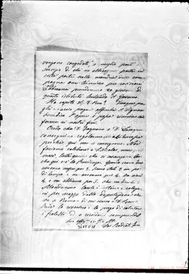 Fotogramma D 11