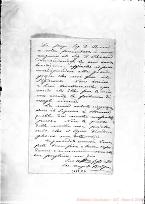 Fotogramma C 6