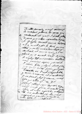 Fotogramma D 11