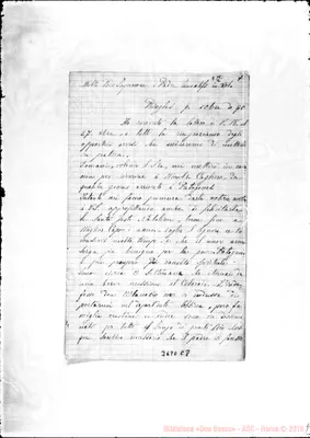 Fotogramma C 8