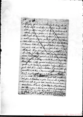 Fotogramma D 11