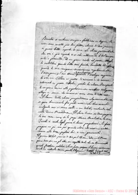 Fotogramma C 7