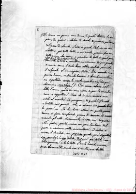 Fotogramma D 11