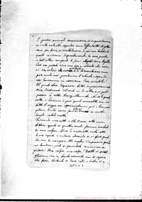 Fotogramma C 3