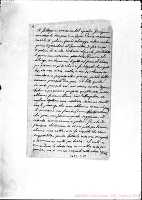 Fotogramma C 11