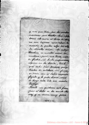 Fotogramma C 2