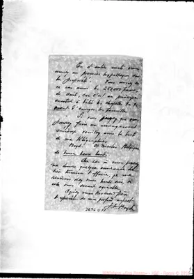 Fotogramma D 11