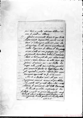 Fotogramma C 11