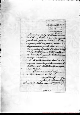 Fotogramma D 11