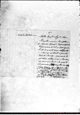 Fotogramma D 12