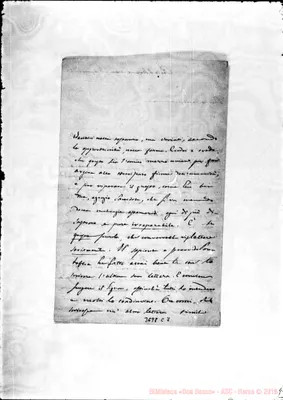 Fotogramma C 7
