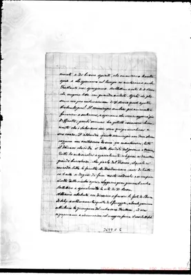 Fotogramma C 6