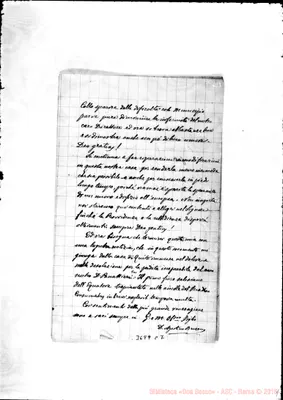 Fotogramma C 7