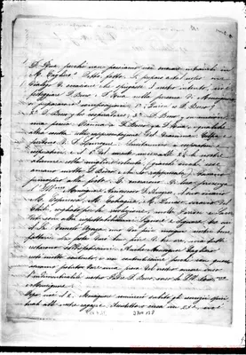 Fotogramma B 8