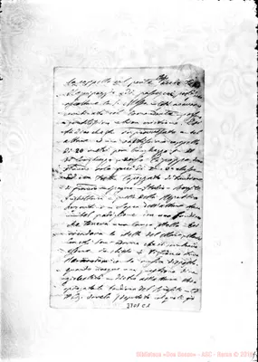 Fotogramma C 1