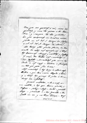 Fotogramma D 11