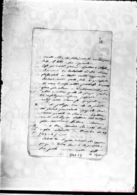 Fotogramma C 2