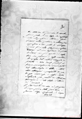 Fotogramma D 11